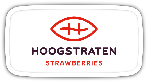 Hoogstraten strawberries